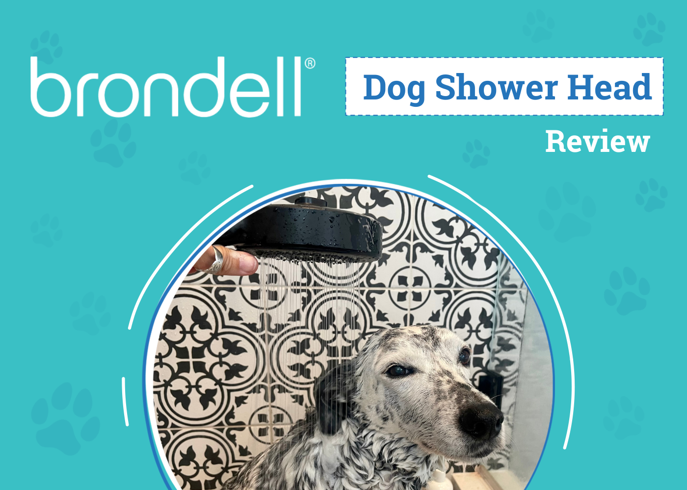 DOG_SAPR_Brondell Dog Shower Head