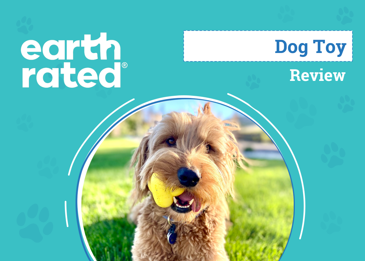 Earth rated Dog Toy