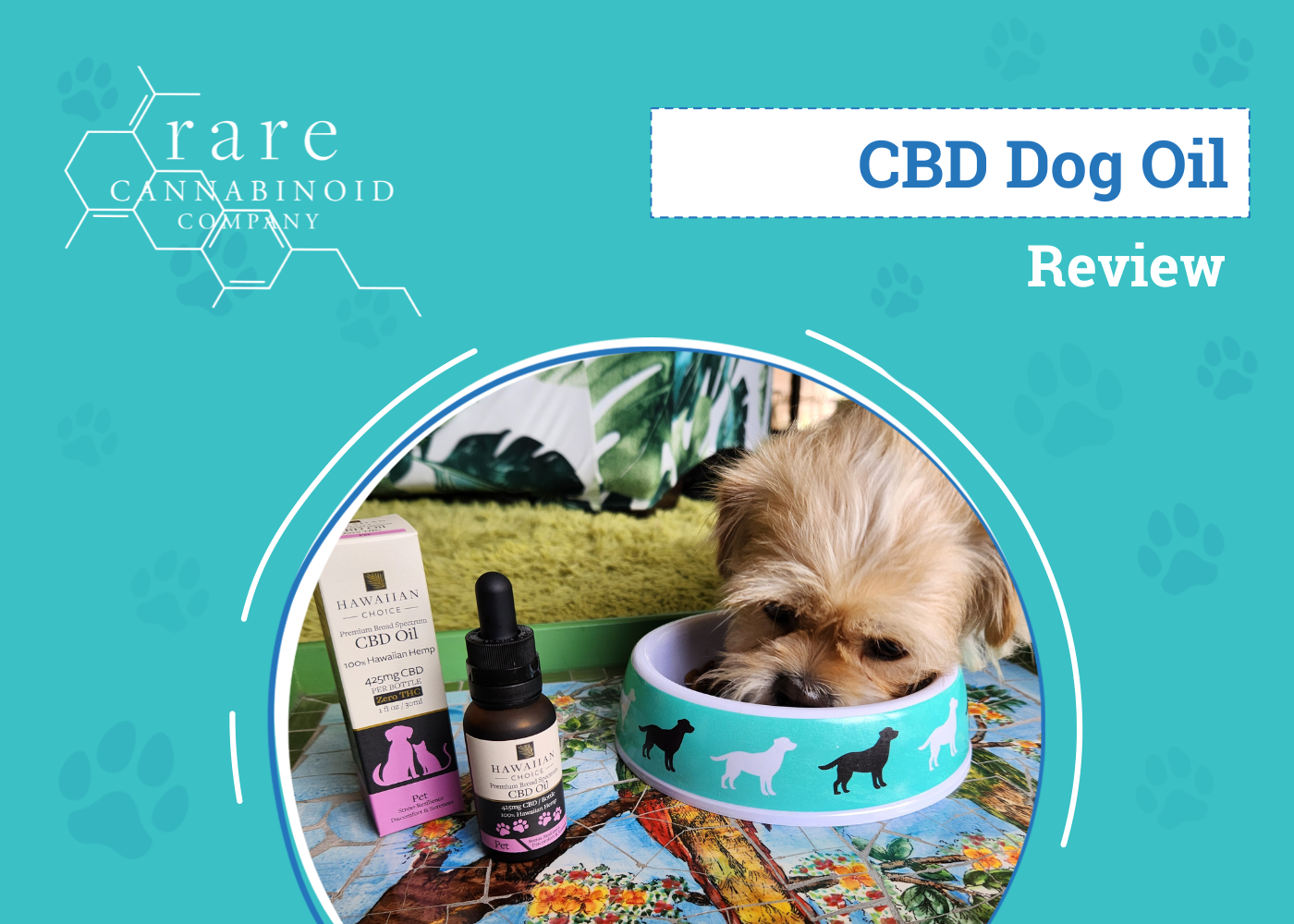 Rare cannabinoid CBD Dog Oil