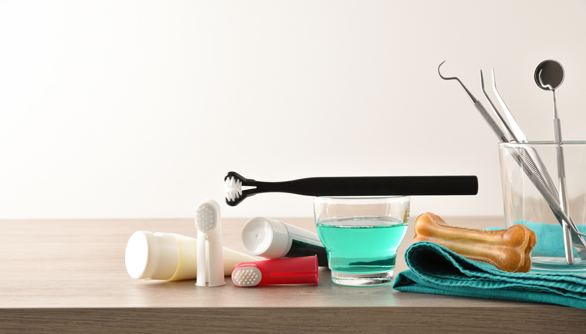 Dog Vet Teeth Supplies