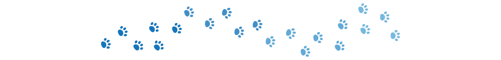 Dogster divider_v3_NEW_MAY_24_ Dogster divider_v3_NEW_MAY_24_