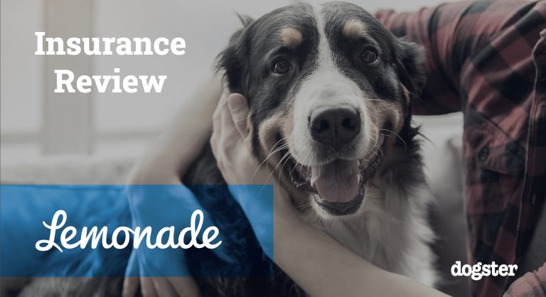 Lemonade Pet Insurance Review 2026: Pros, Cons & Verdict – Dogster