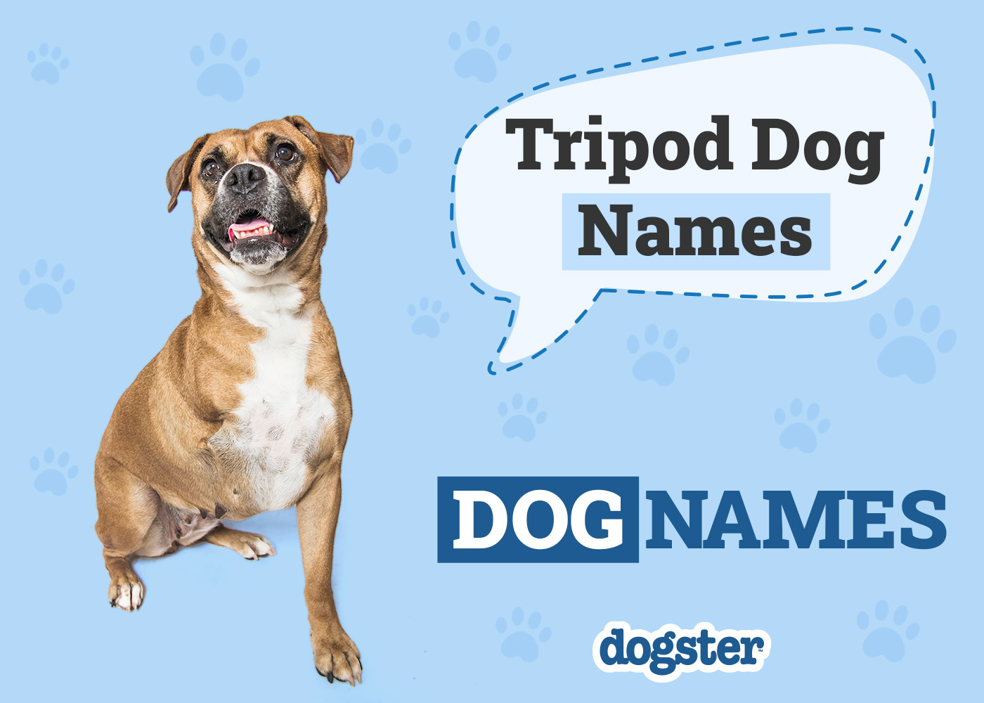 Dogster_Tripod Dog Names