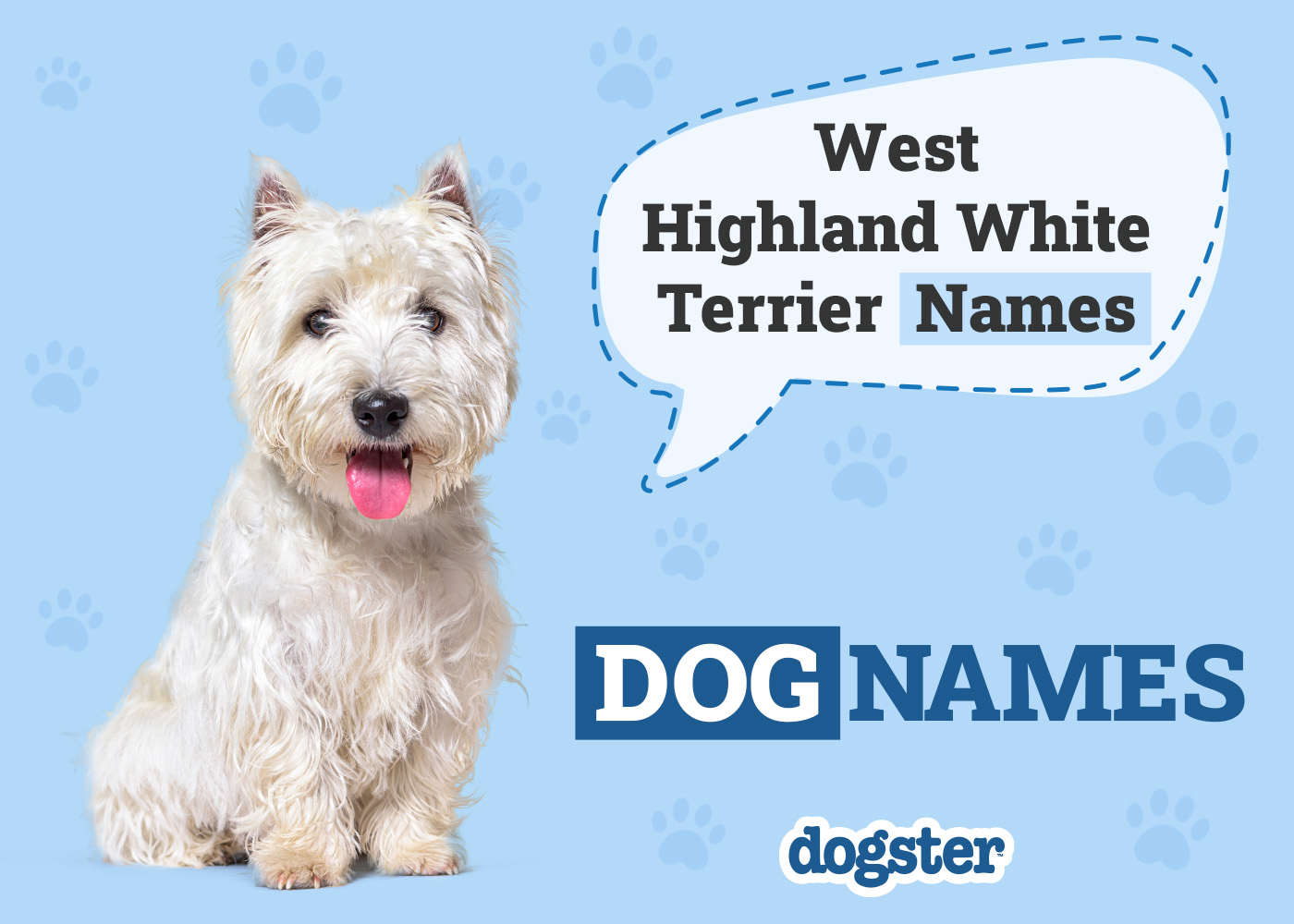 Dogster_West Highland White Terrier Names