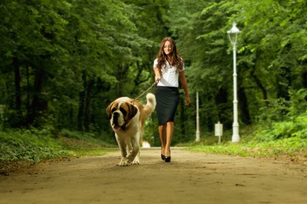 Elegant woman walking her big dog