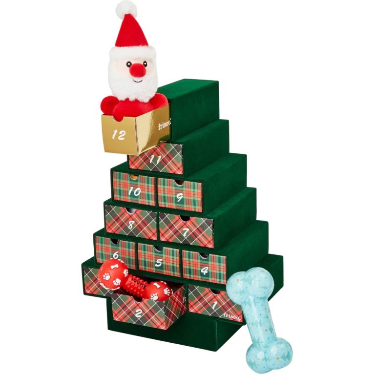 10 Best Dog Advent Calendars for 2024 Reviews & Top Picks Dogster