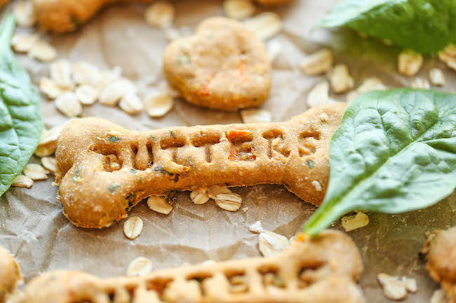 Healthy Dog Treats