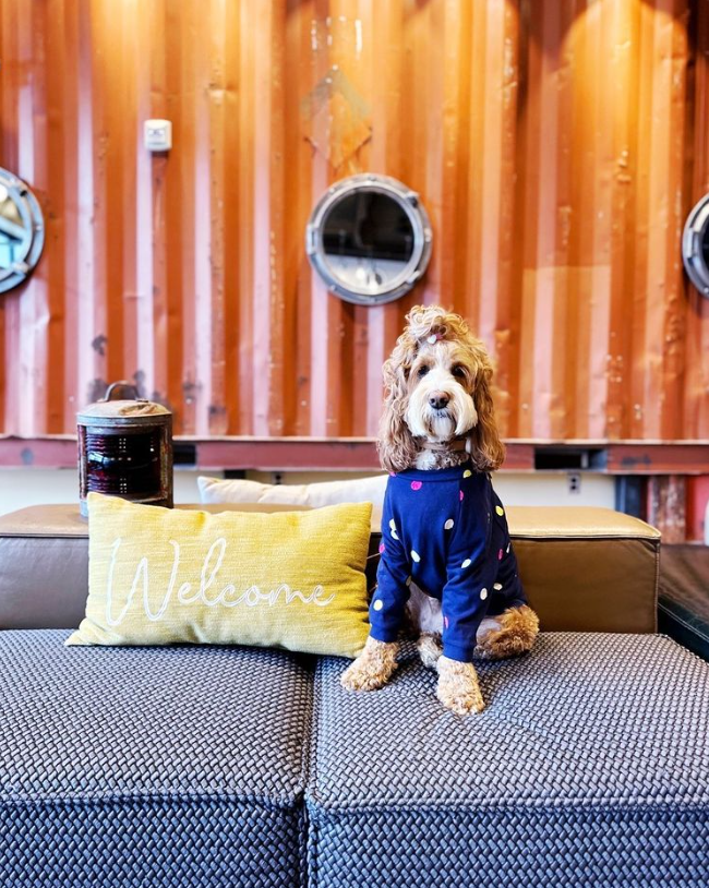 Hotel Zephyr