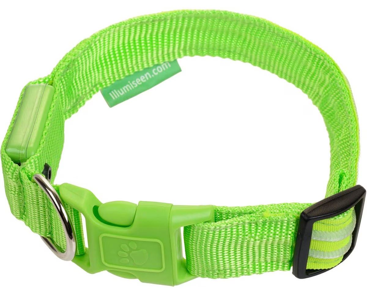 Illumiseen LED USB Rechargeable Nylon Dog Collar