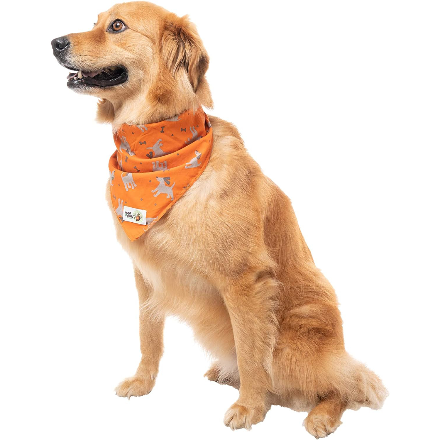 Insect Shield Repellant Dog Bandana