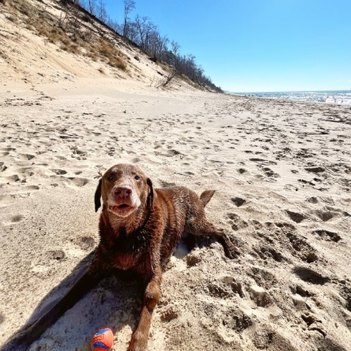 Kirk Park Beach
