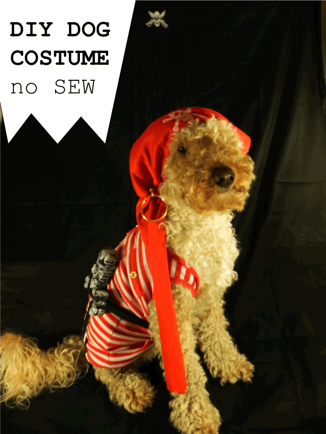 Luigi and Me_DIY dog costume – No sew !_