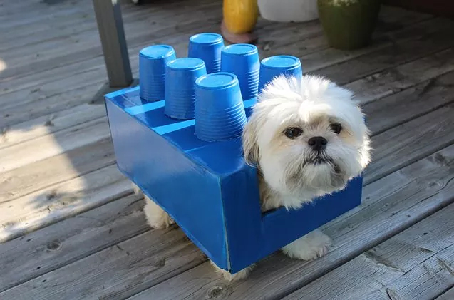 PetGuide.com_DIY Halloween Costumes for Dogs- Lego Dogo