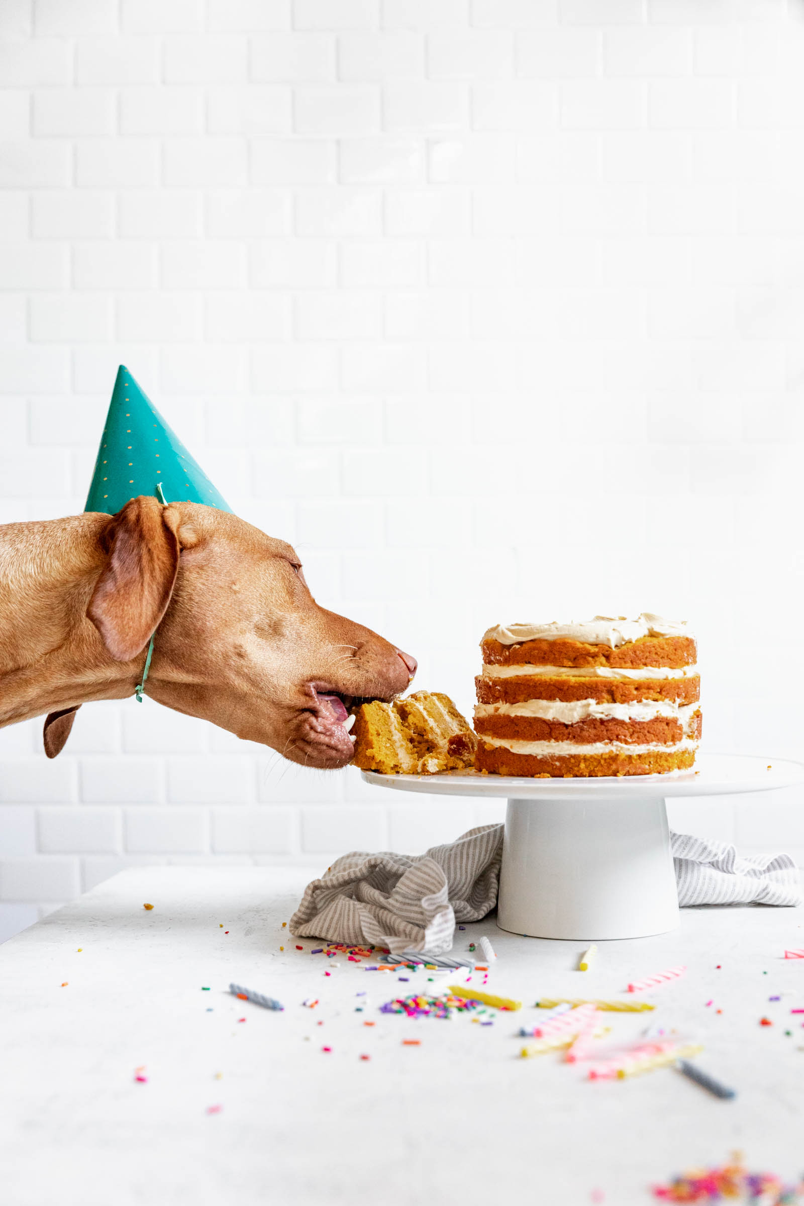 Pumpkin Peanut Butter Bliss Cake
