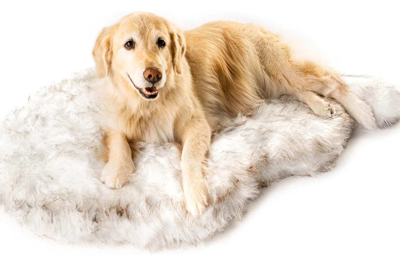 PupRug Orthopedic Dog Bed