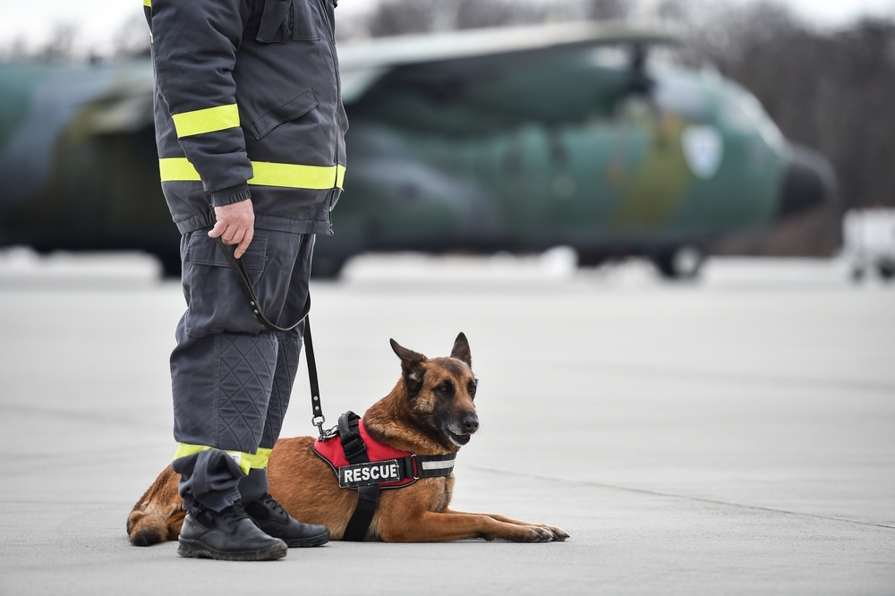 Search-and-rescue-dog-with-his-handler