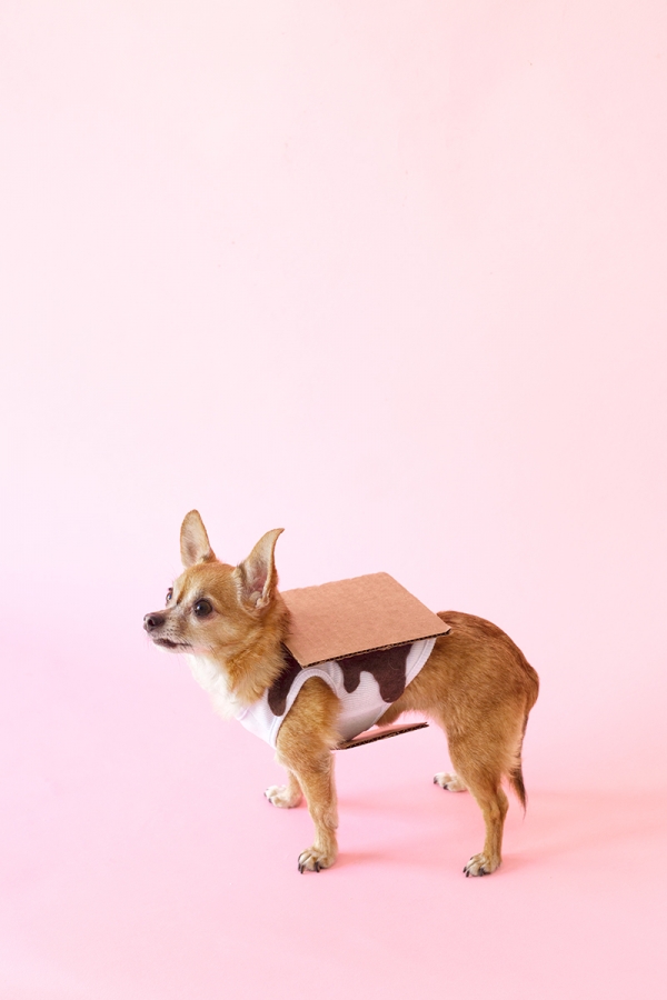 Studio DIY_DIY S’MORES DOG COSTUME