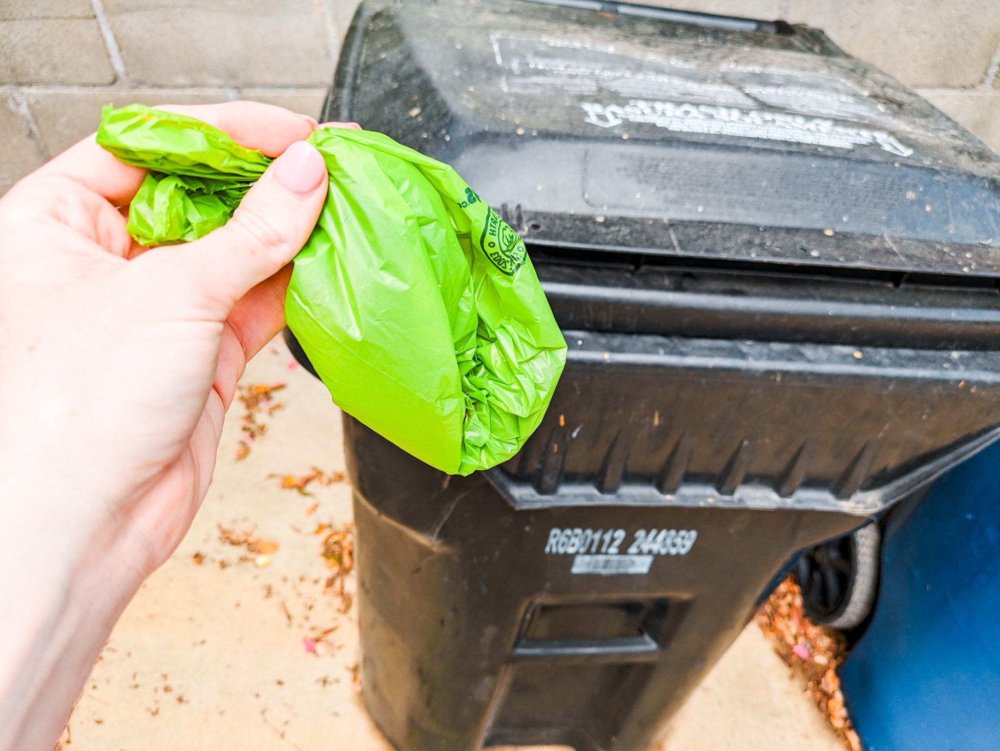 The Original Poop Bags® Review 2024 An Expert’s Breakdown Dogster