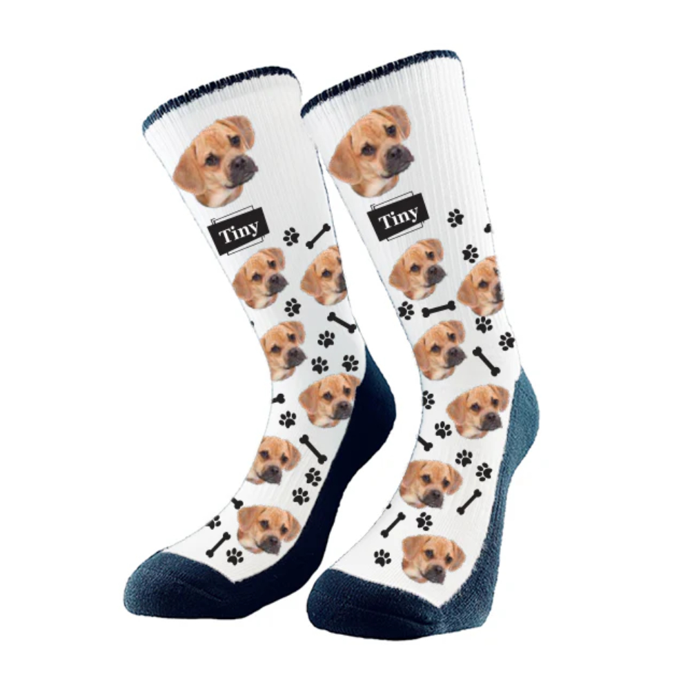 The Sock Bar Dog Socks new