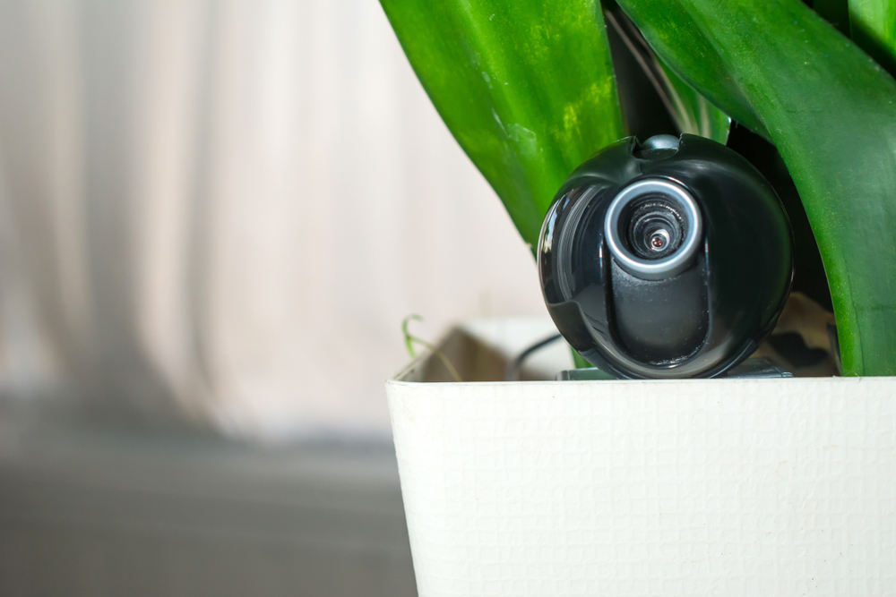 Webcam hidden in a flower pot for surveillance of the house