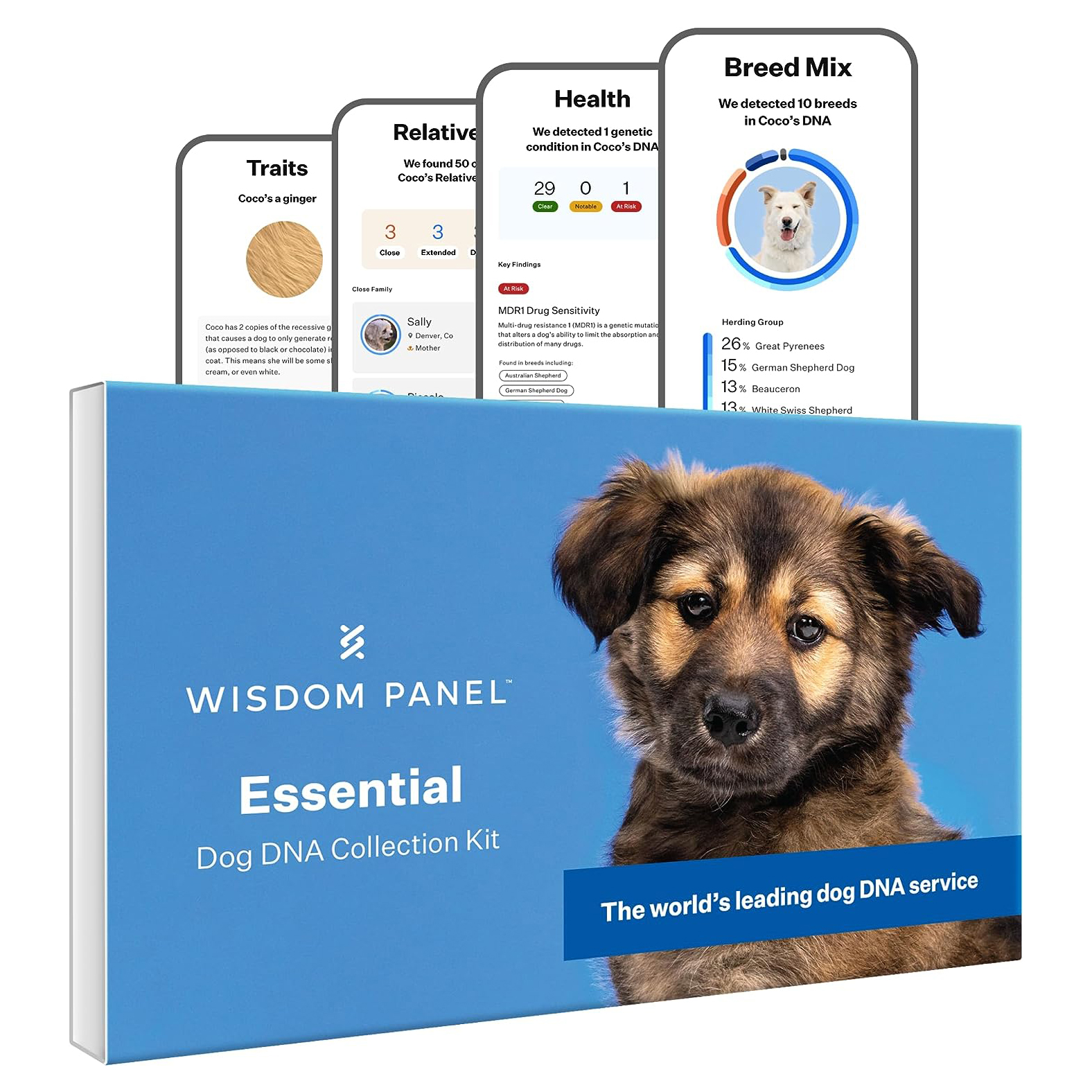 Wisdom Panel Essential Breed Identification DNA Test for Dogs