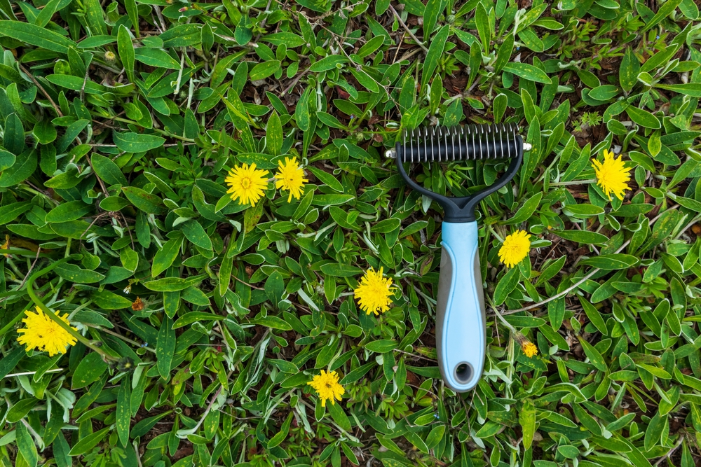 a deshedding tool for dog fur