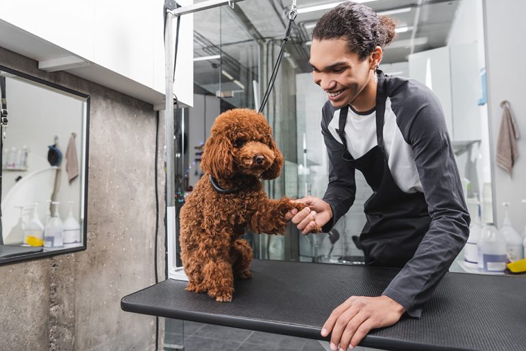 How Much to Tip a Dog Groomer in 2024 Facts & Considerations Dogster