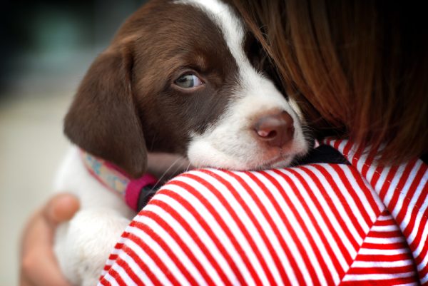 close up portrait of girl hugging dog
