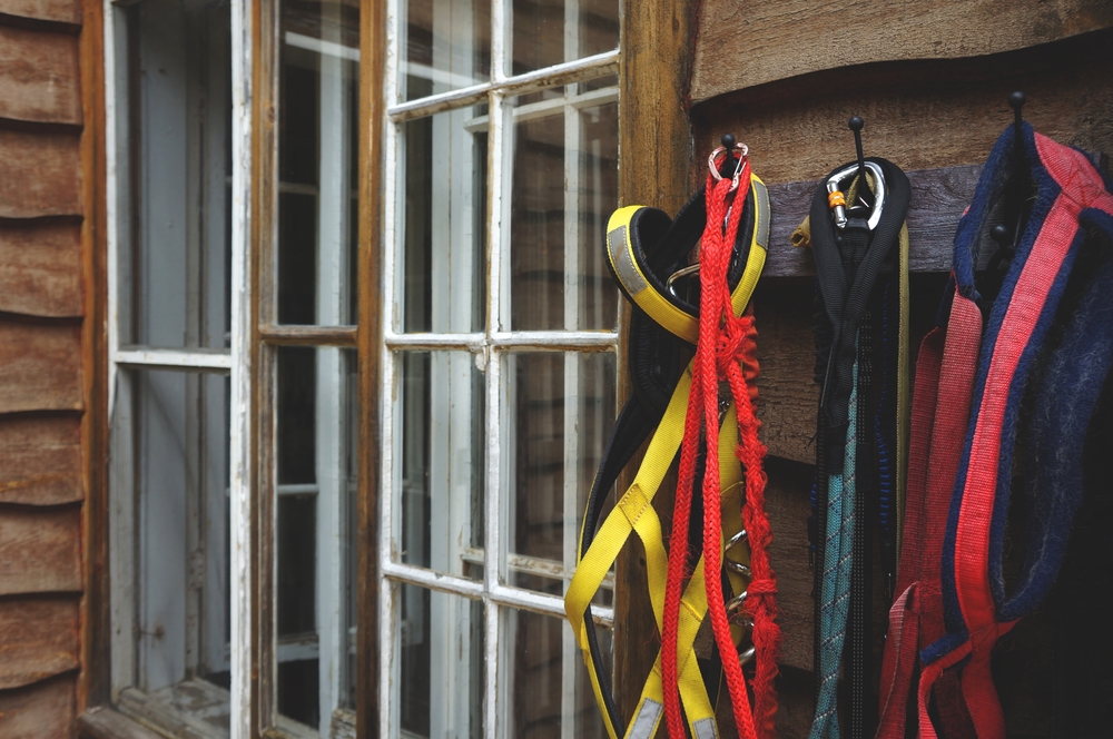 dog leash hook hanging