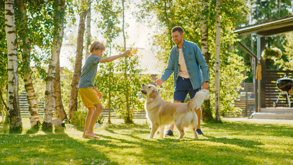 father-and-son-playing-with-their-dog-outdoor