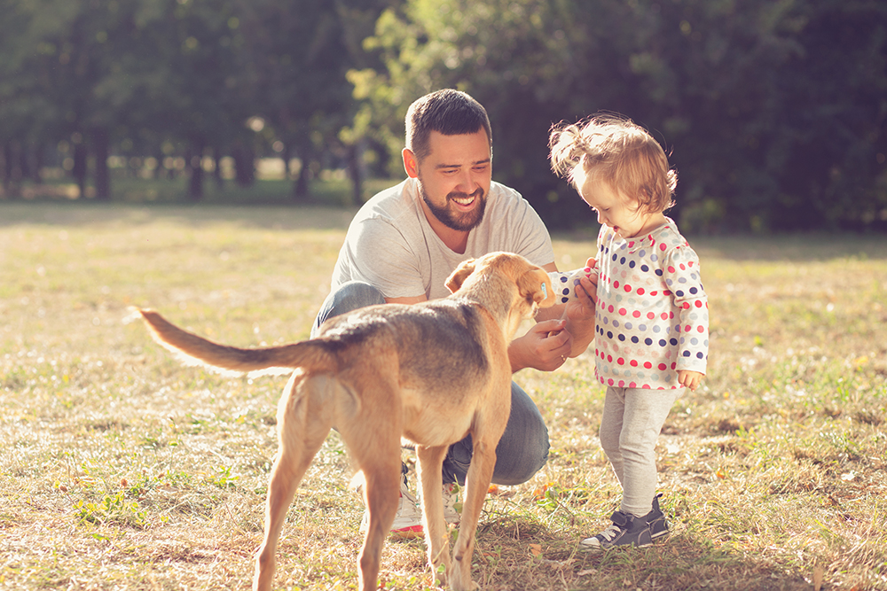 Father introduced the toddler to a dog