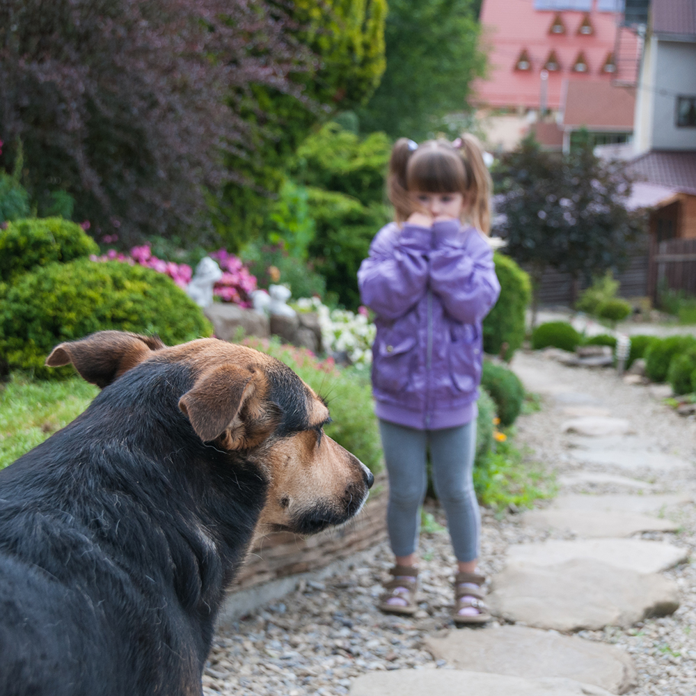 Little girl scared of dog