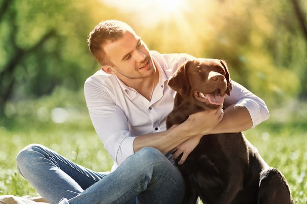 man hugging chocolate labrador dog at the park