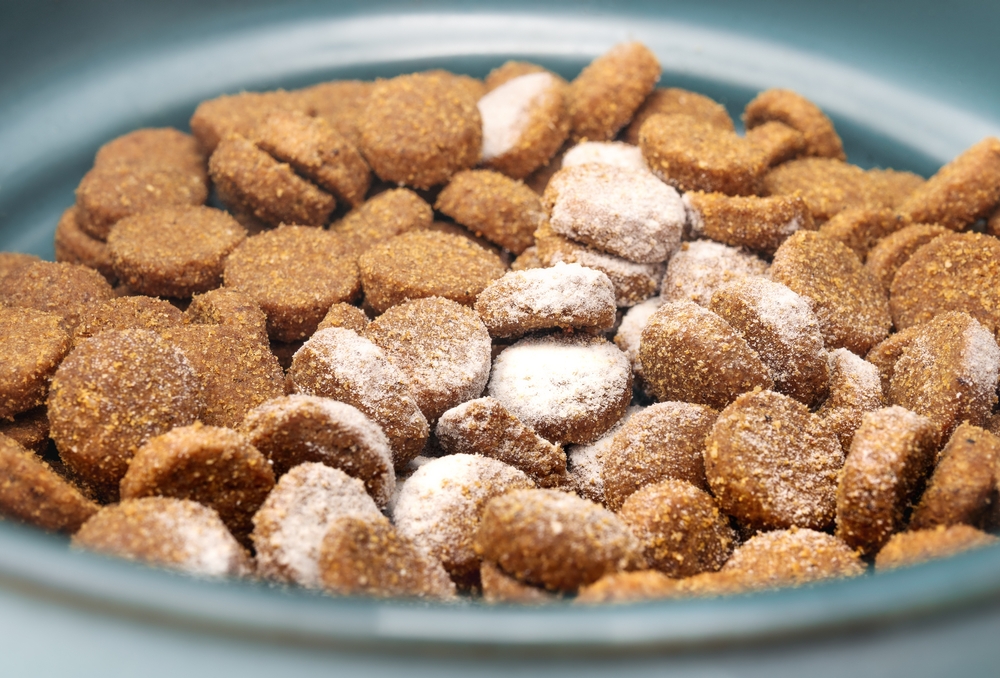 Medication in kibbles or pet food