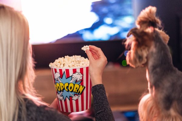 woman eating popcorn while watching movie with dog