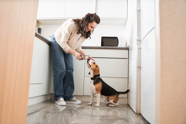woman-feeding-her-dog