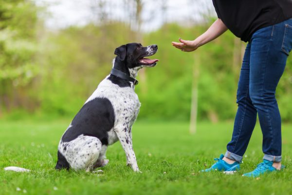 woman giving command to her dog