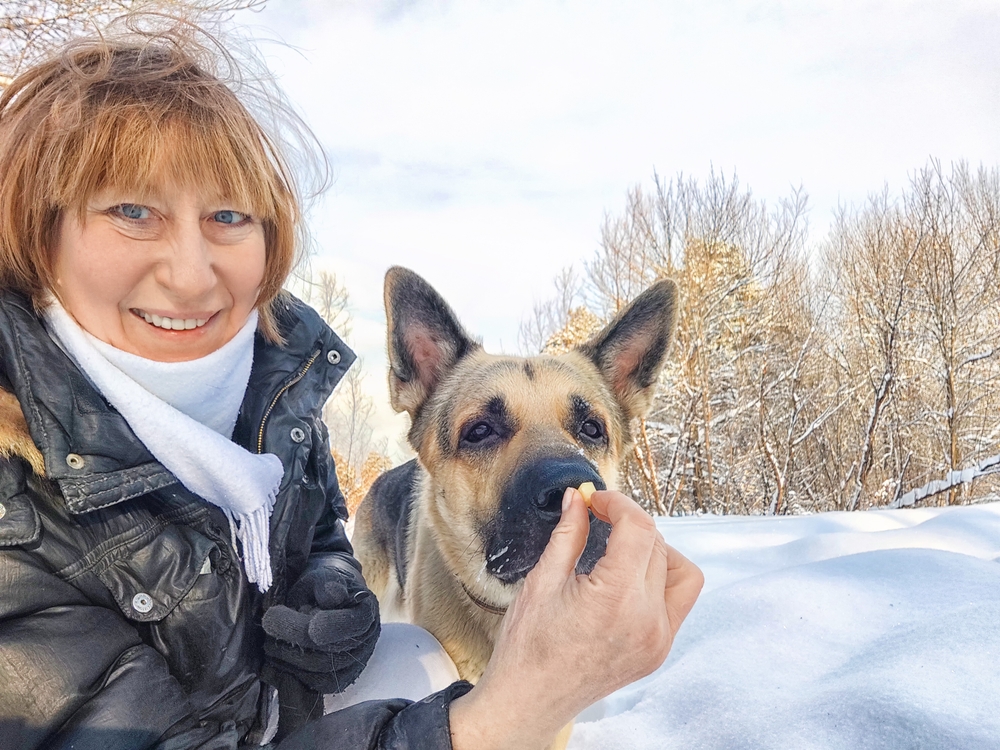 woman with shepherd dog taking selfies in winter while giving a treat