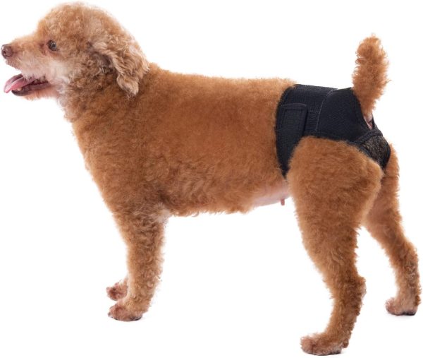 yrenoer Dog Panties for Dogs in Heat 2024