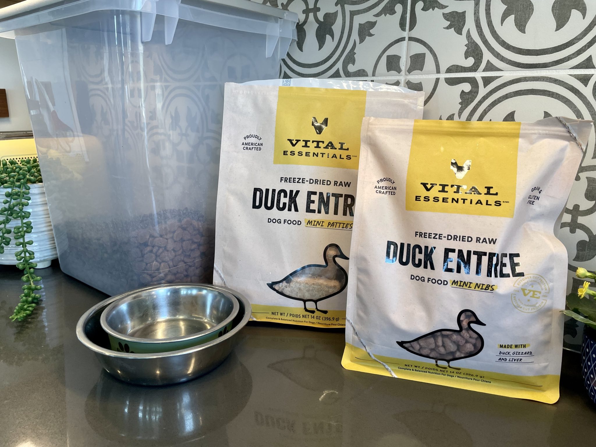 Vital Essentials Dog Food Review 2025: An Expert's Breakdown – Dogster