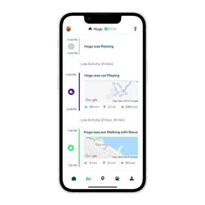 Whistle Dog Tracker Reviews 2026 - Pros, Cons & Verdict – Dogster