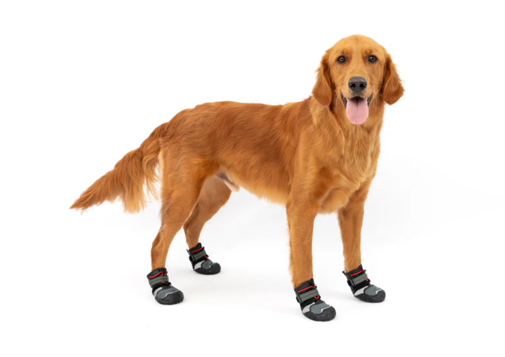 Kurgo Blaze Cross Dog Shoes