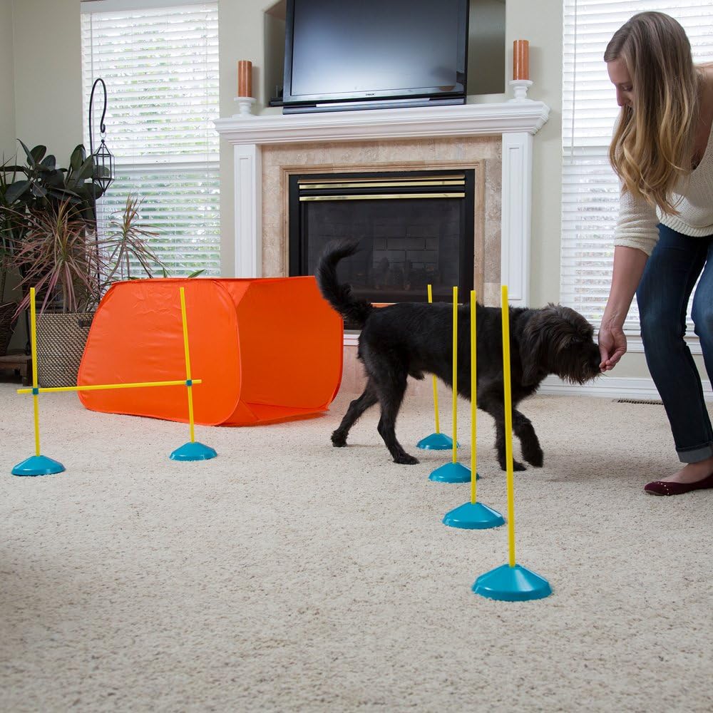 Outward Hound Zip & Zoom Indoor Dog Agility Training Kit Review