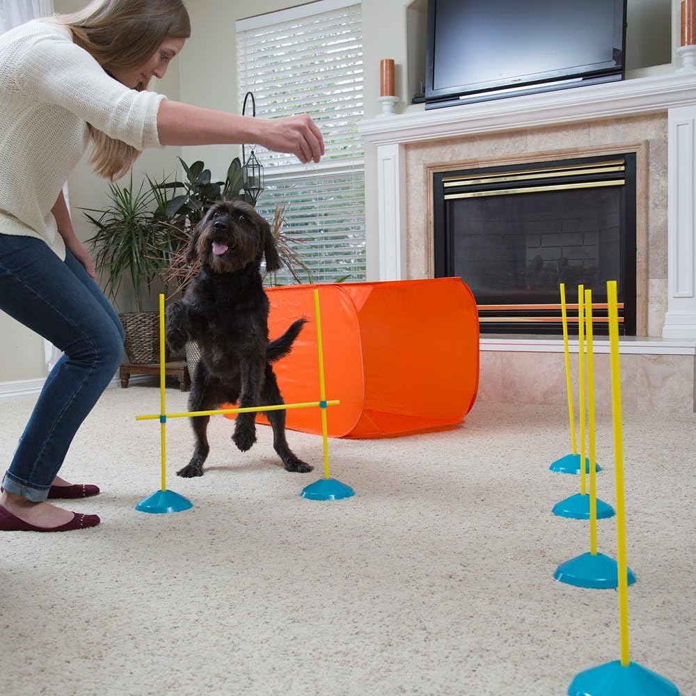 Outward Hound Zip & Zoom Indoor Dog Agility Training Kit for Dogs Review