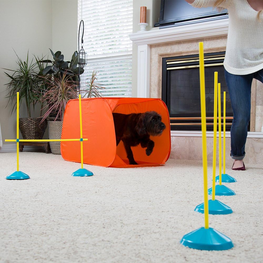 Outward Hound Zip & Zoom Indoor Dog Agility Training Kit for Dogs Review