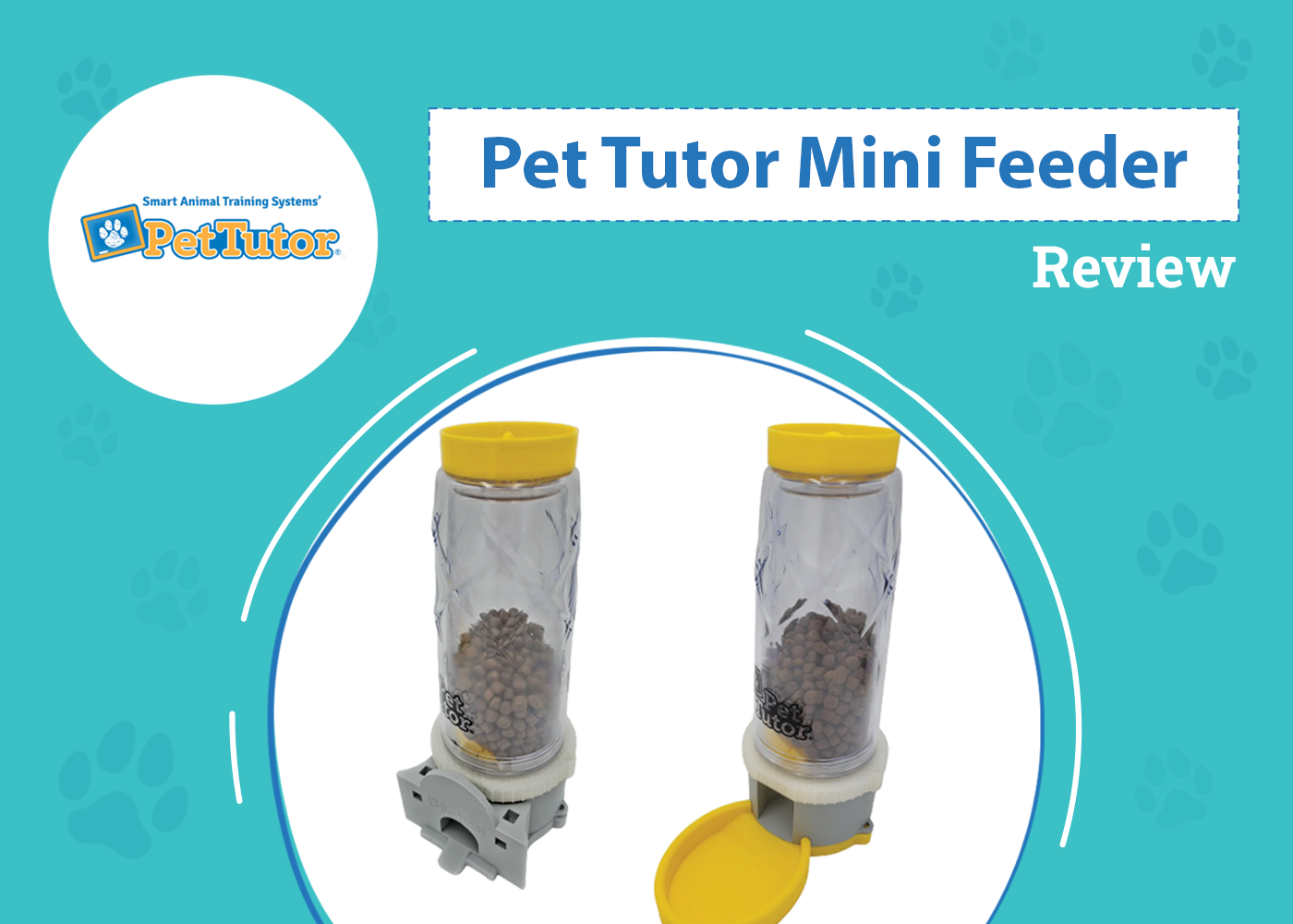 Pet Tutor Mini Feeder Review