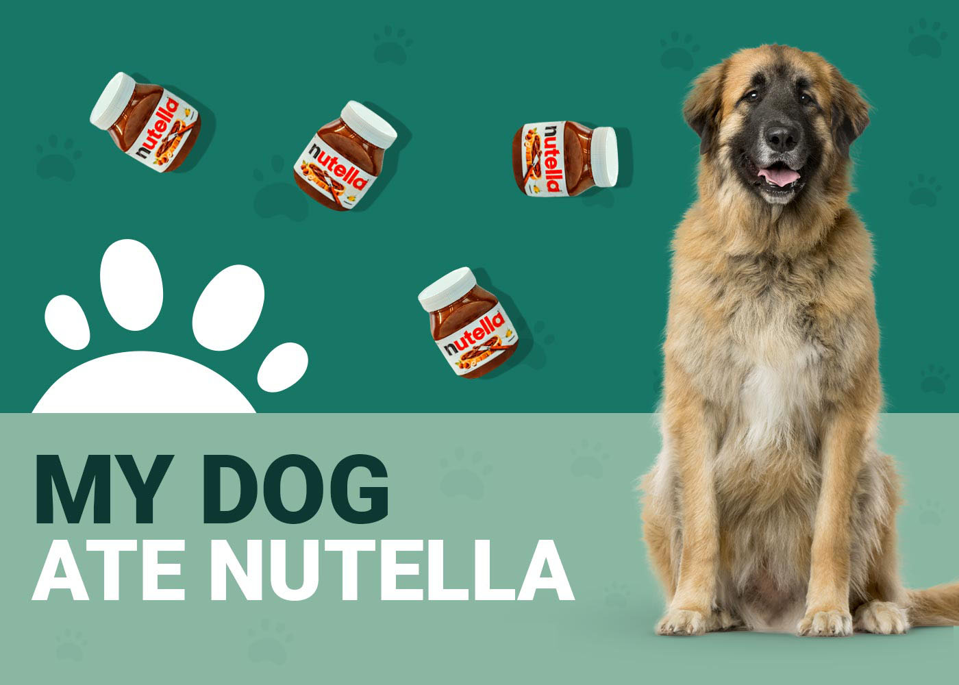 My Dog Ate Nutella Should I Be Worried? Our Vet Answers Dogster