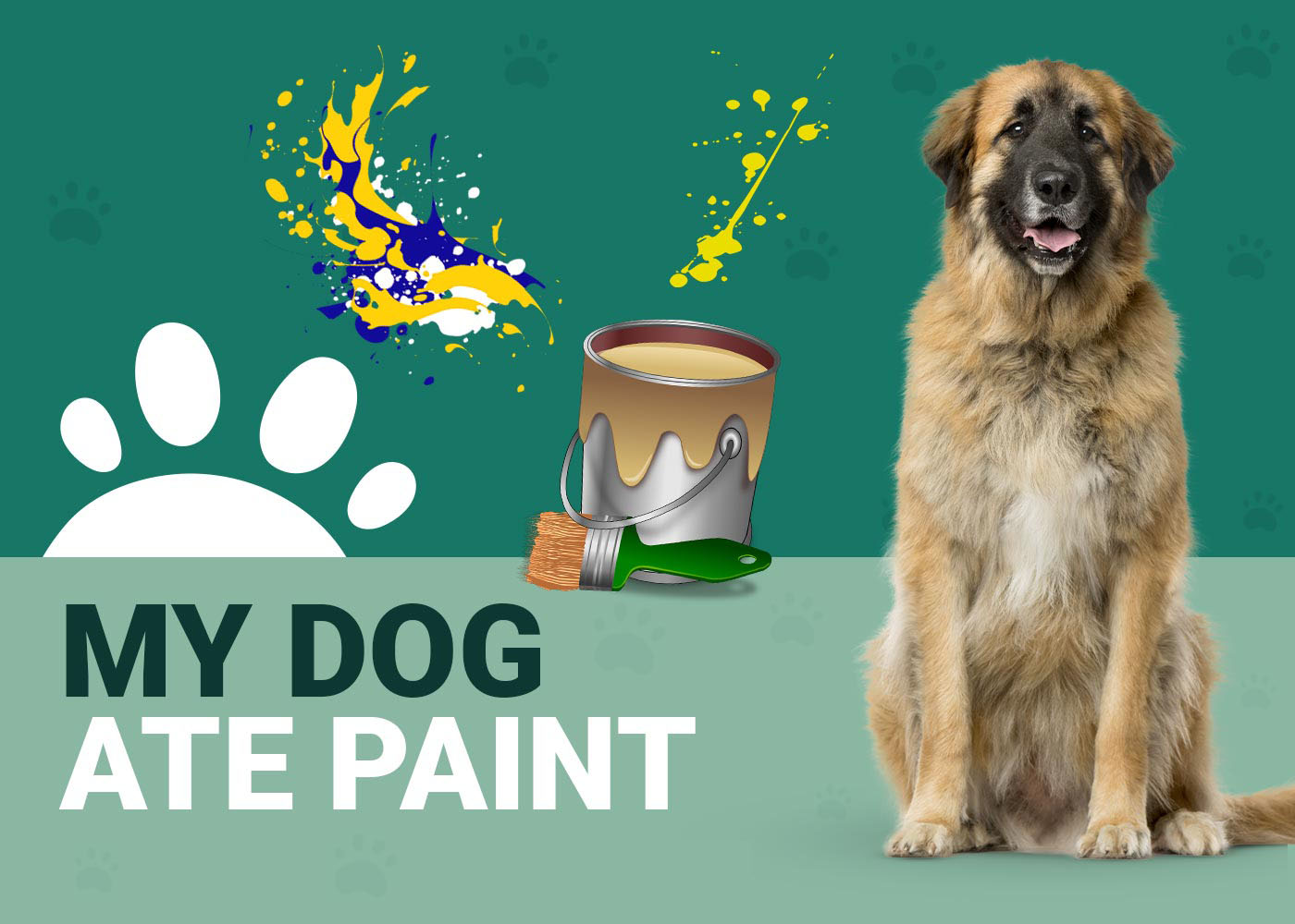 My Dog Ate Paint, What Should I Do? VetAppoved Facts & Risks Dogster