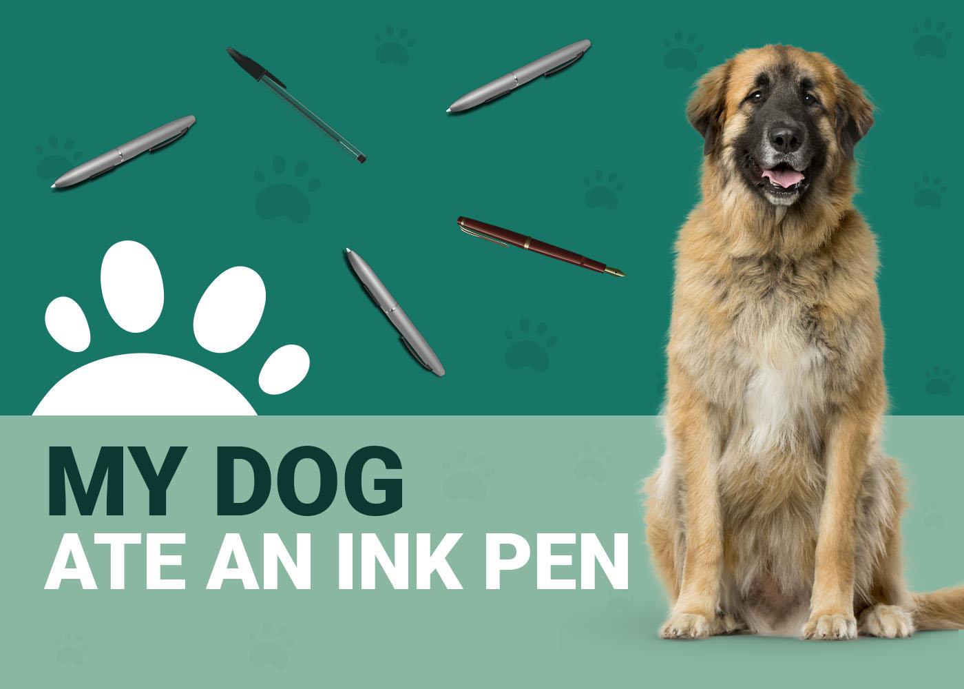 My Dog Ate an Ink Pen! Here's What to Do (Vet Answer) Dogster