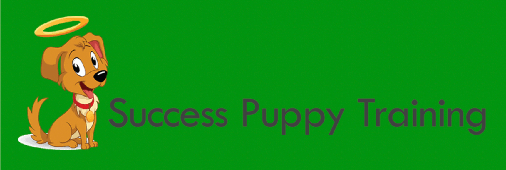 Success Puppy Training logo